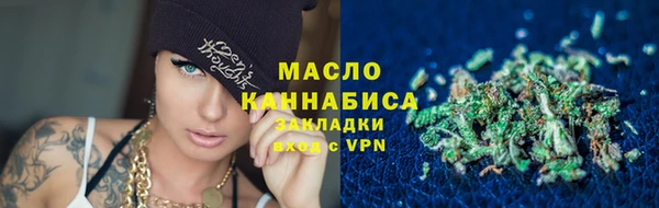 индика Каменка