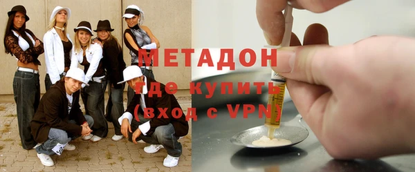 индика Каменка