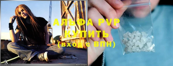 индика Каменка