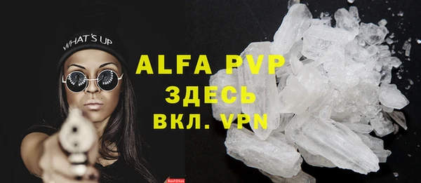 индика Каменка