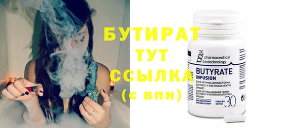 индика Каменка