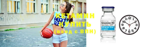 индика Каменка