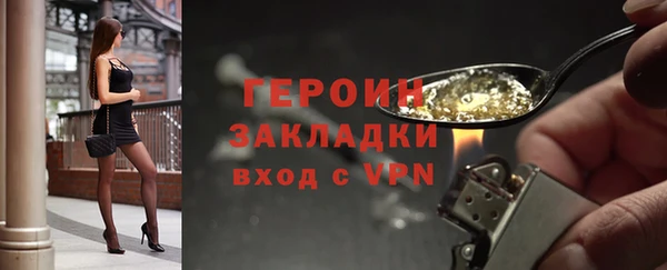 индика Каменка