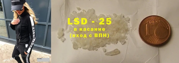 индика Каменка