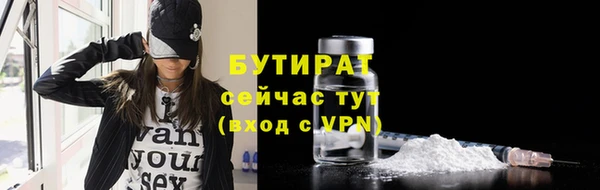 индика Каменка