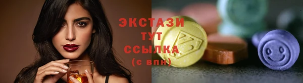 индика Каменка