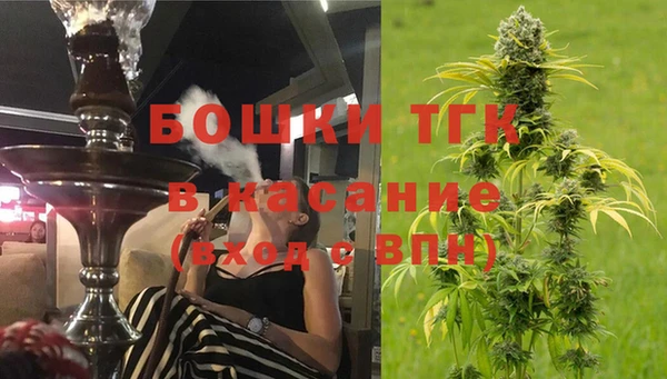 индика Каменка