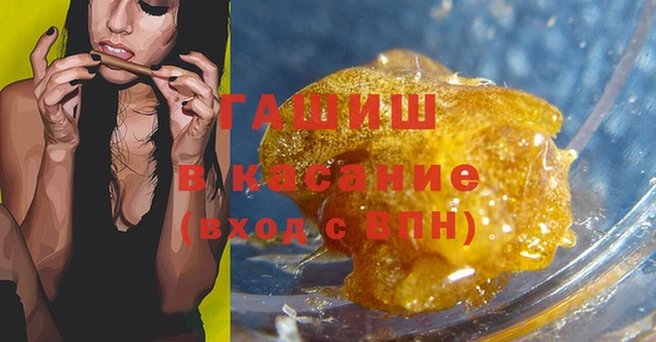 индика Каменка