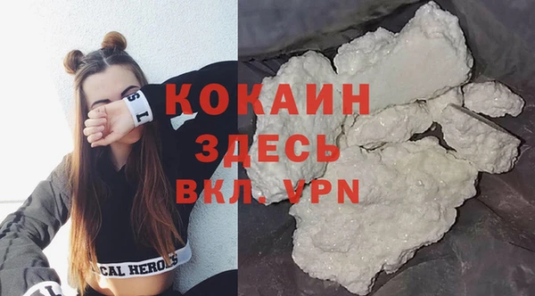 индика Каменка