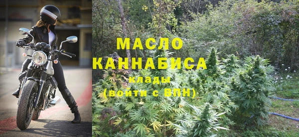 индика Каменка