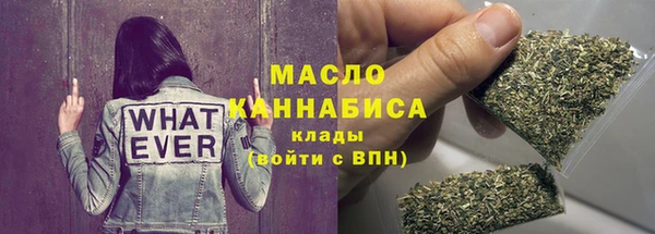 индика Каменка