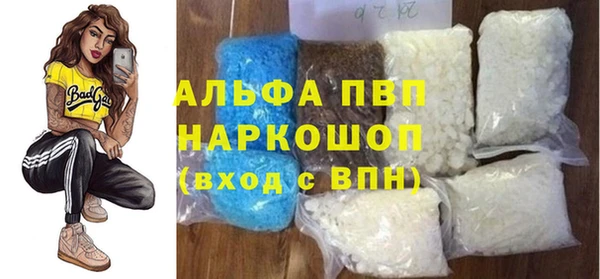 индика Каменка