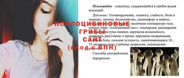 индика Каменка