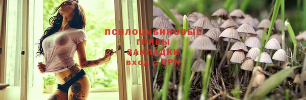 спайс Каменногорск