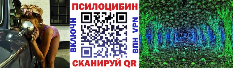 Купить  Сортавала  Галлюциногенные грибы Cubensis 